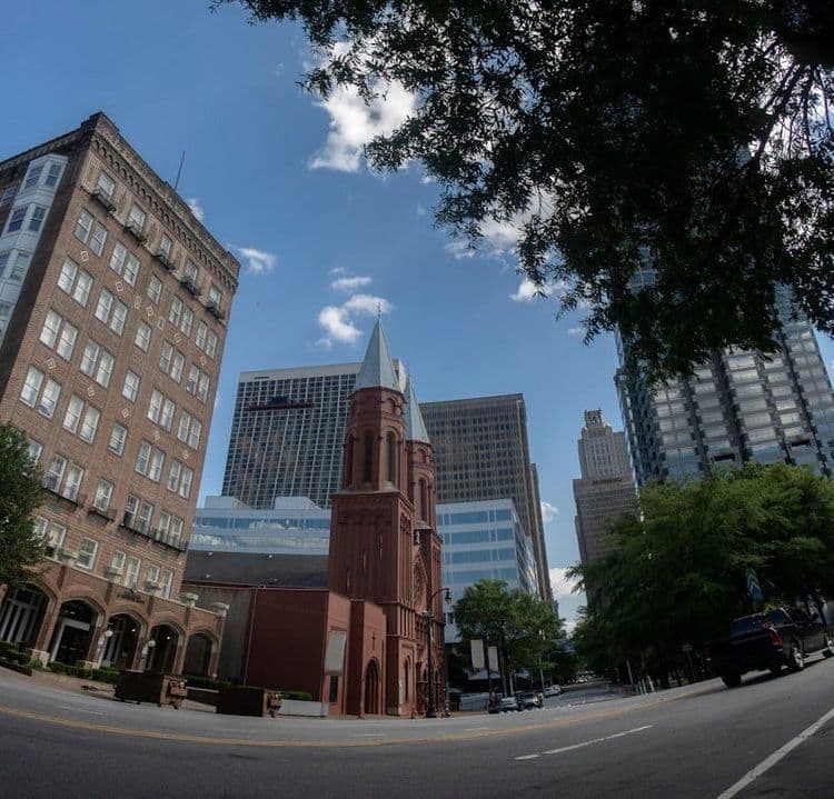 Centro de São Paulo: ONGs que promovem sustentabilidade na cidade